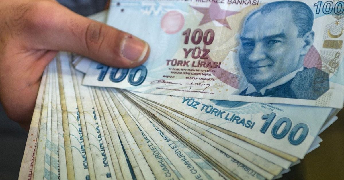 Turkish Lira Forecast 2024